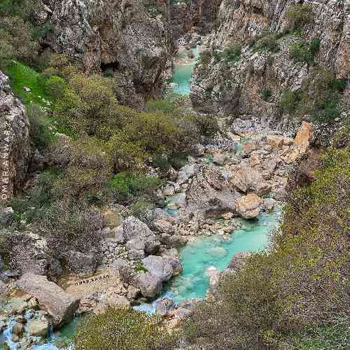 یاسین شیخی هوادار